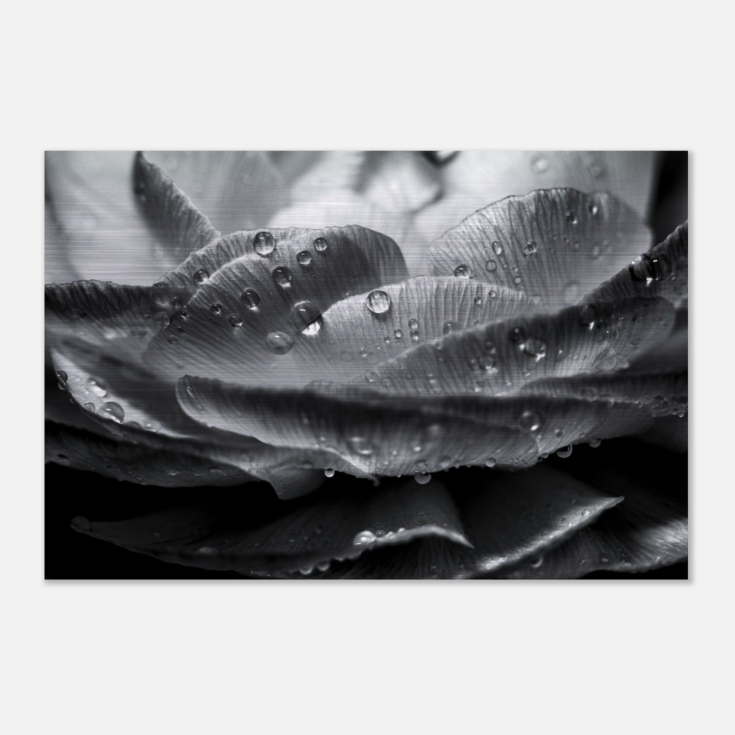 421acd90-7cea-4c0f-b8f4-31f7a6738460